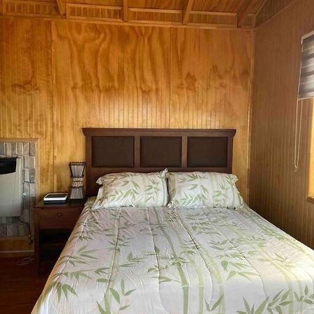 Depto Huerto 23 Daire Puerto Natales Dış mekan fotoğraf